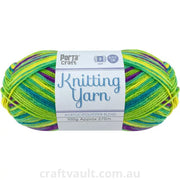 Knitting Yarn 100g 270m 8ply Multi Gooseberry