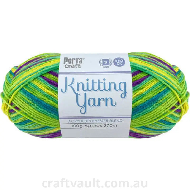 Knitting Yarn 100g 270m 8ply Multi Gooseberry