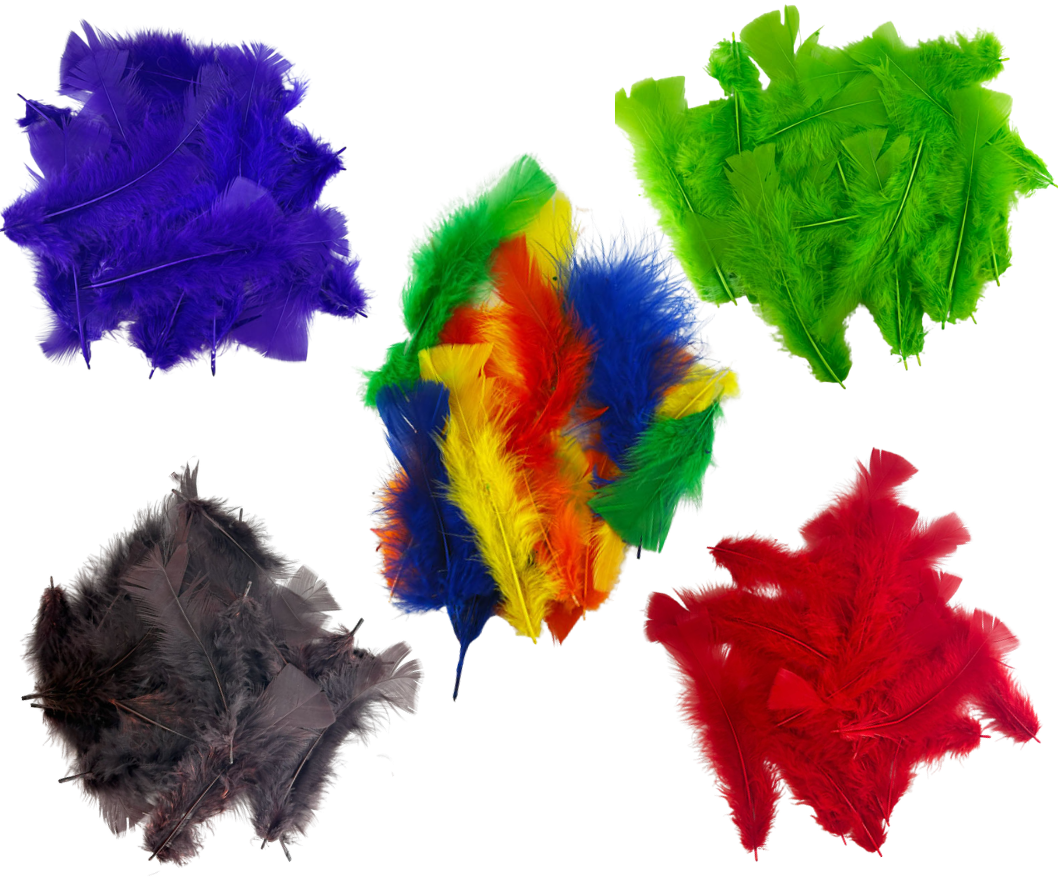 Craft Feathers