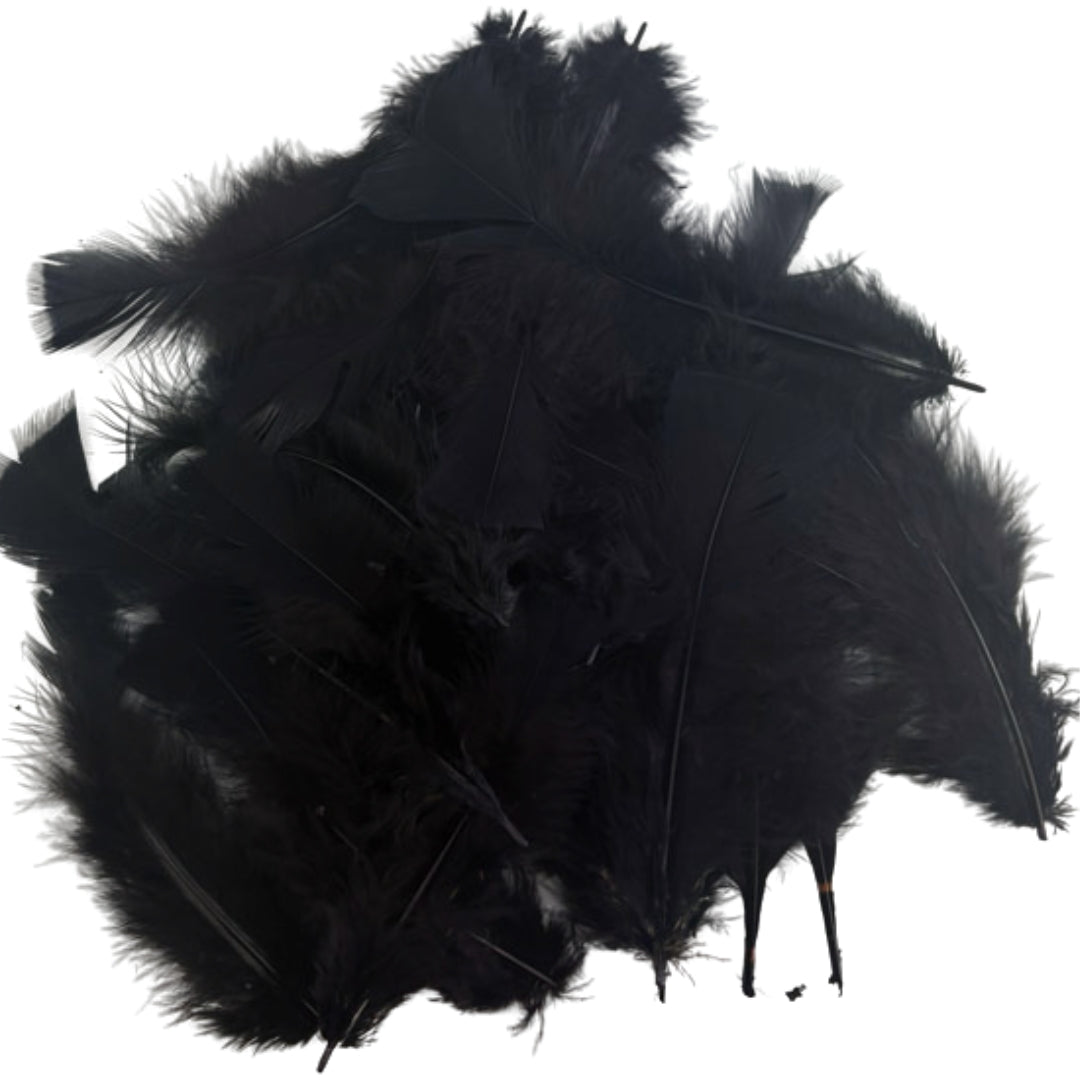 Porta Craft Feathers 10g - Black