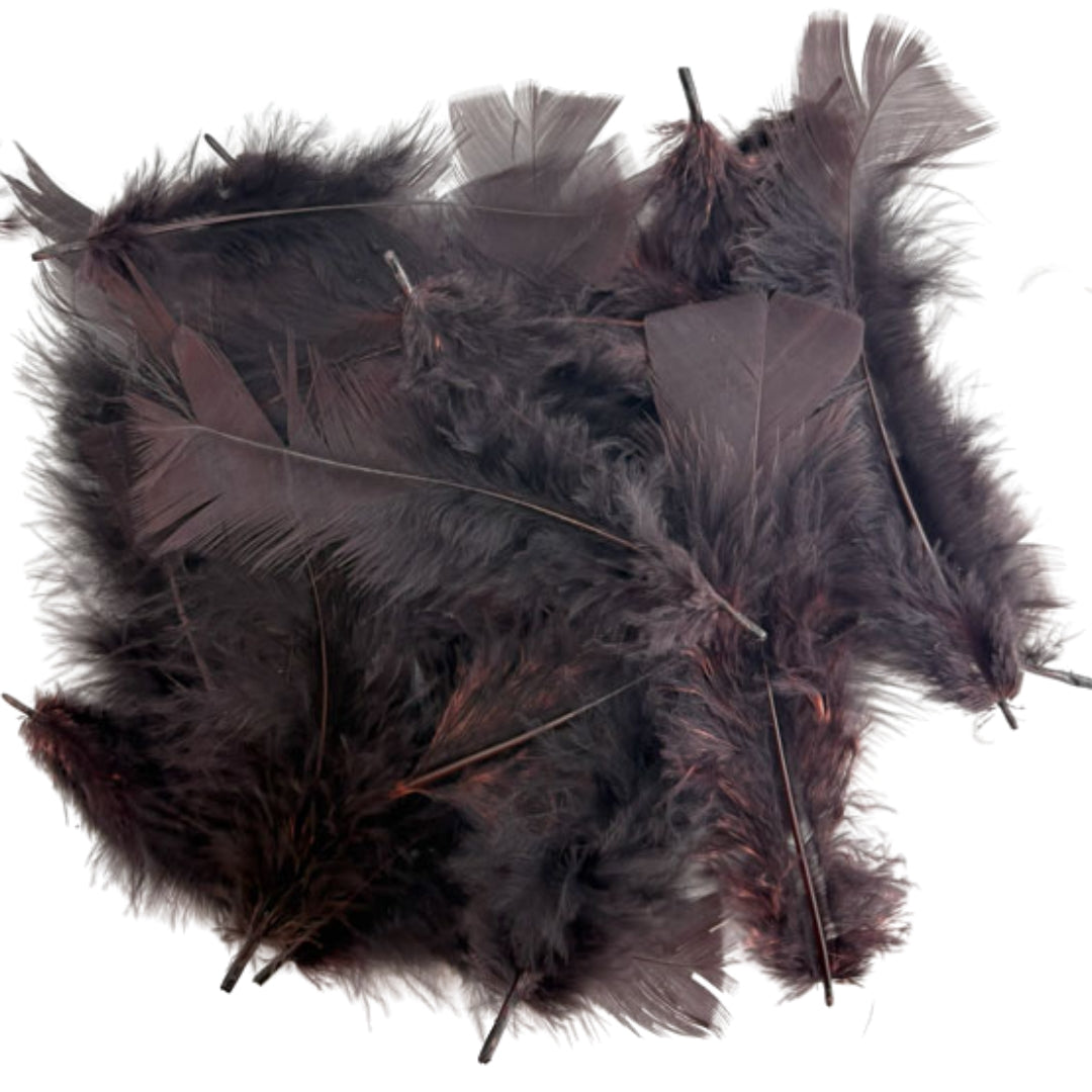 Porta Craft Feathers 10g - Chocolate