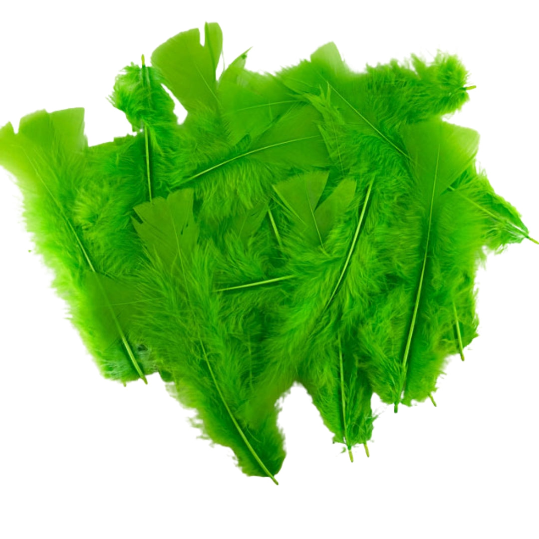 Porta Craft Feathers 10g - Lime Green