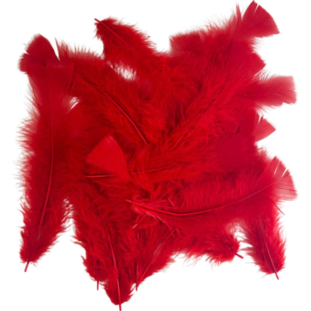 Porta Craft Feathers 10g - Red