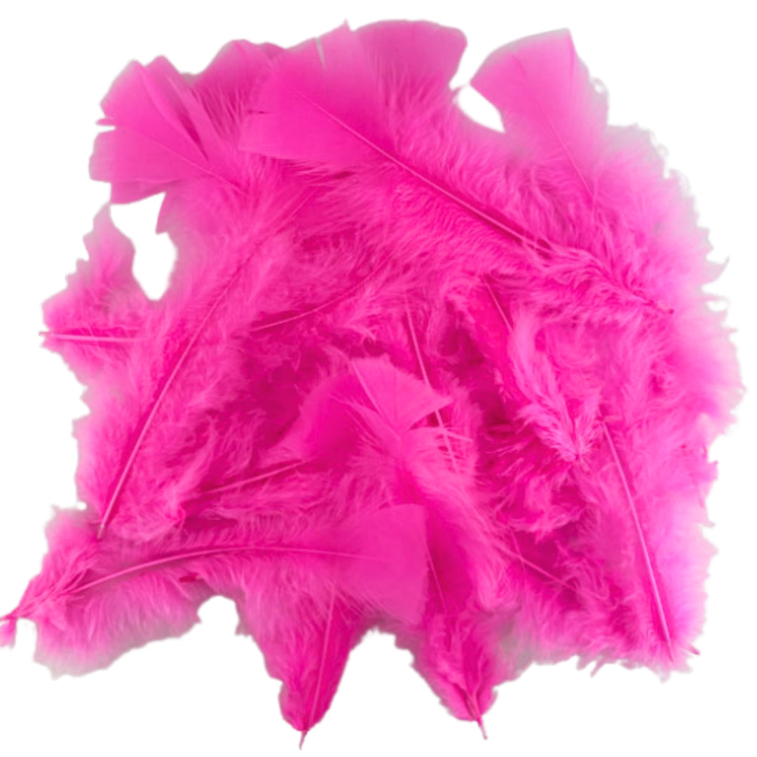 Porta Craft Feathers 10g - Hot Pink