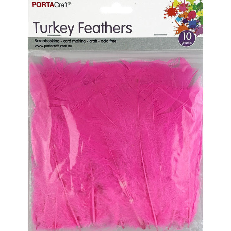 Craft Feathers 10g - Hot Pink