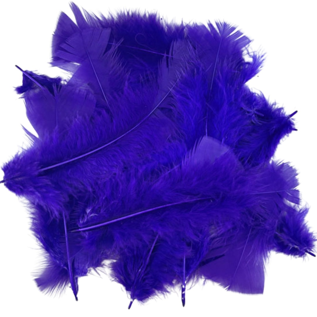 Porta Craft Feathers 10g - Purple