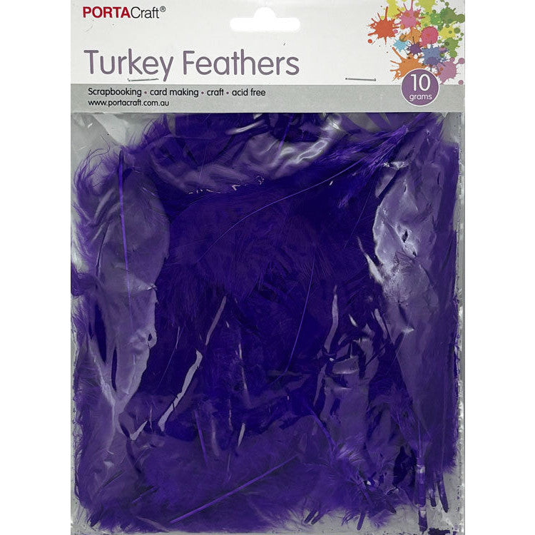 Craft Feathers 10g - Purple
