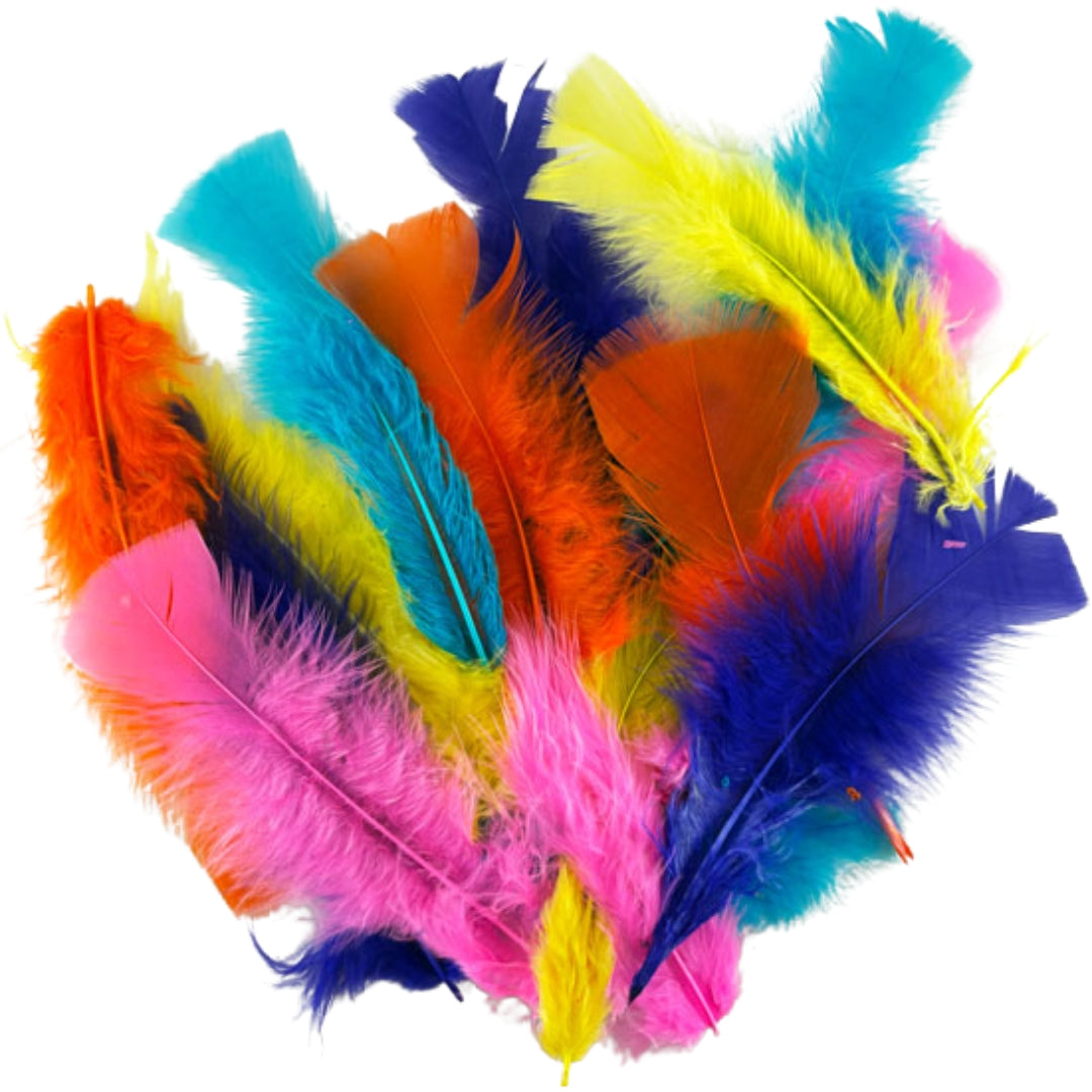 Porta Craft Feathers 10g - Neon