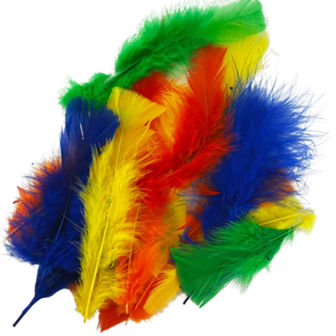 Porta Craft Feathers 10g - Multicolour