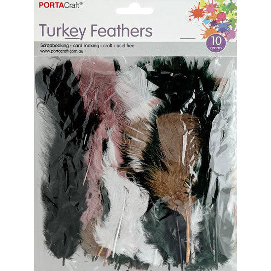 Craft Feathers 10g - Naturals