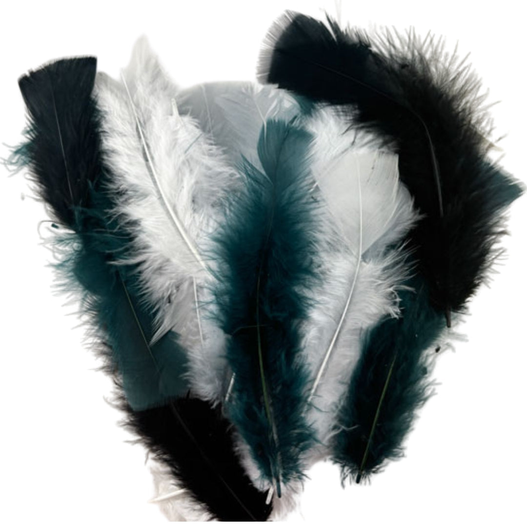 Porta Craft Feathers 10g - Zebra