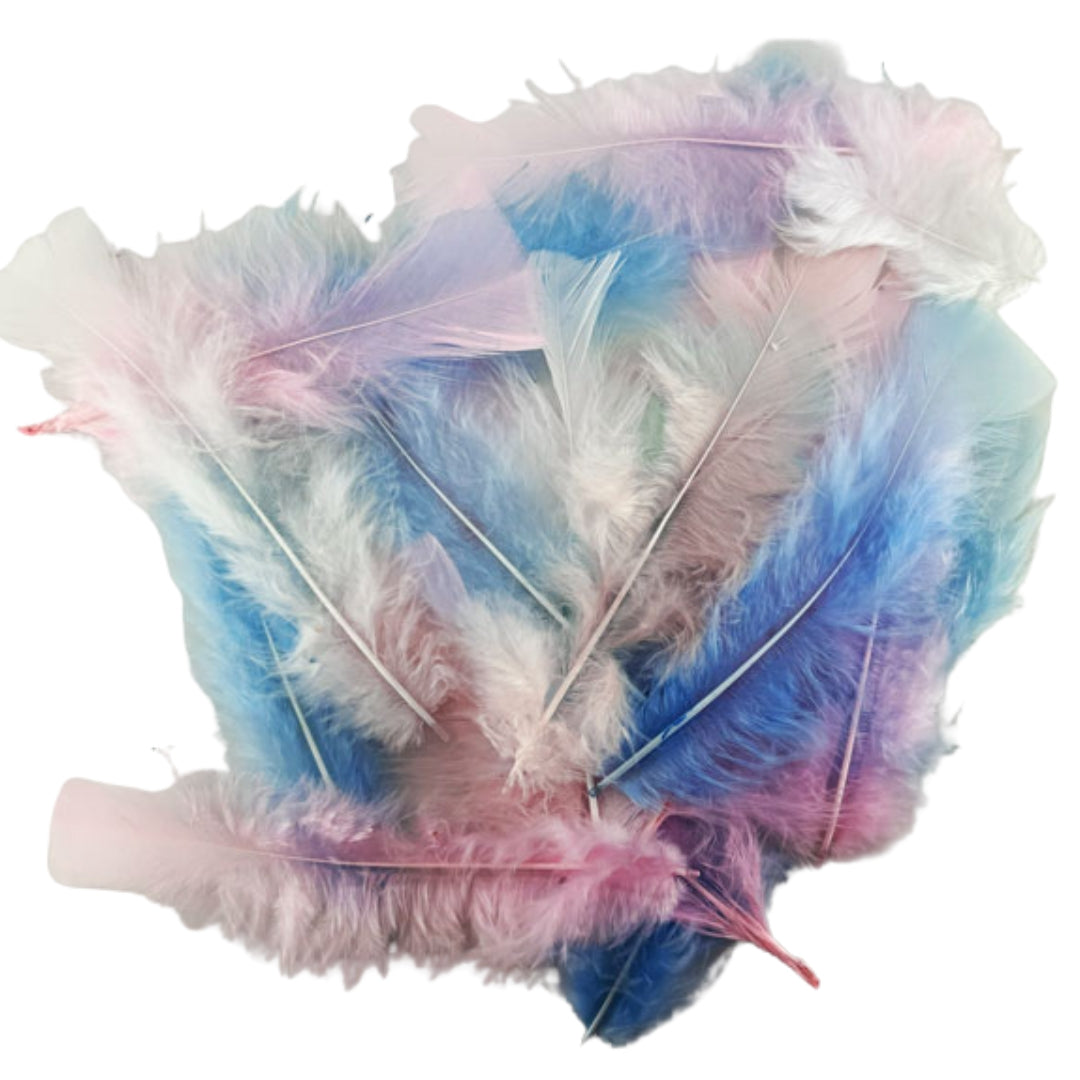 Porta Craft Feathers 10g - Pastels