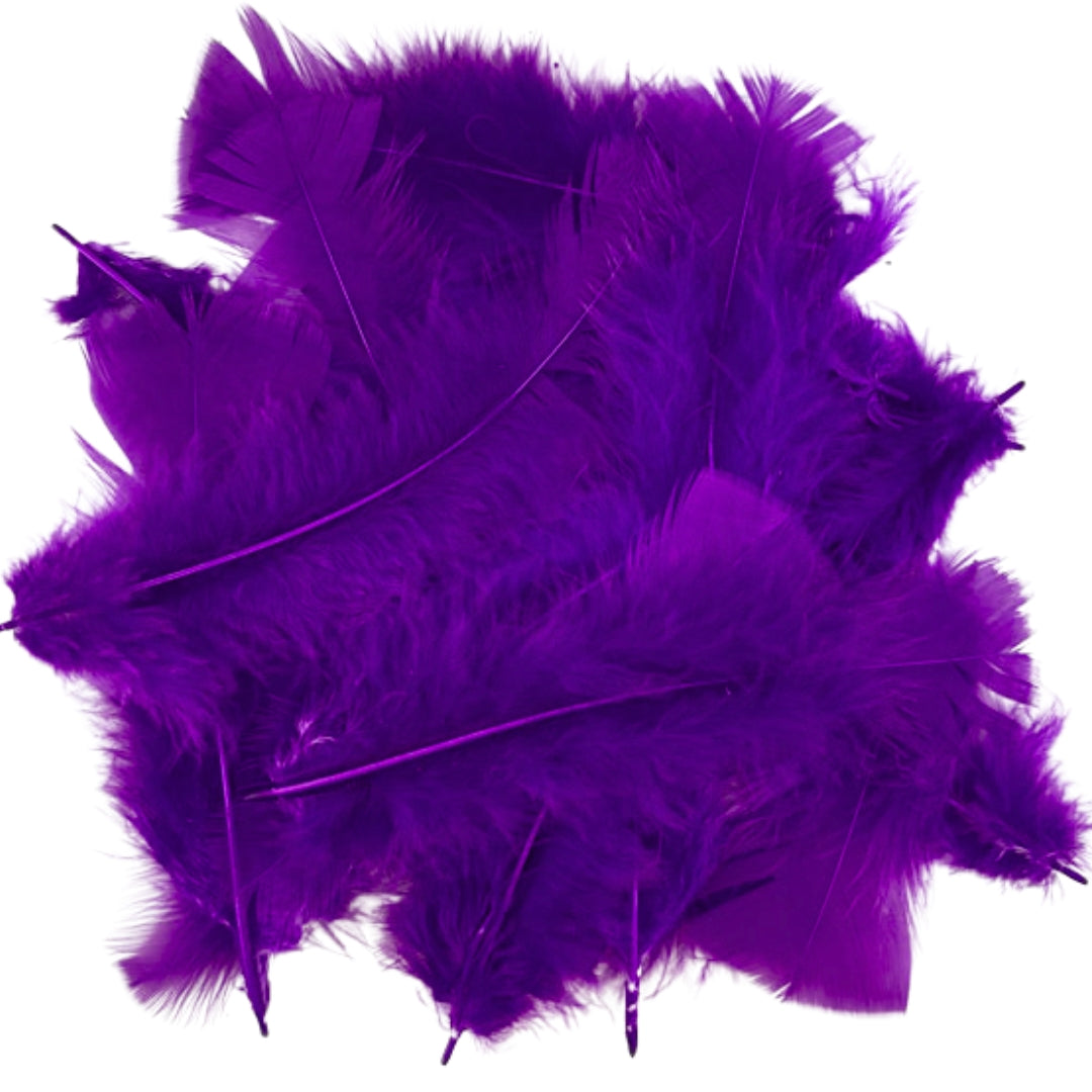 Craft Feathers 10g - Purple