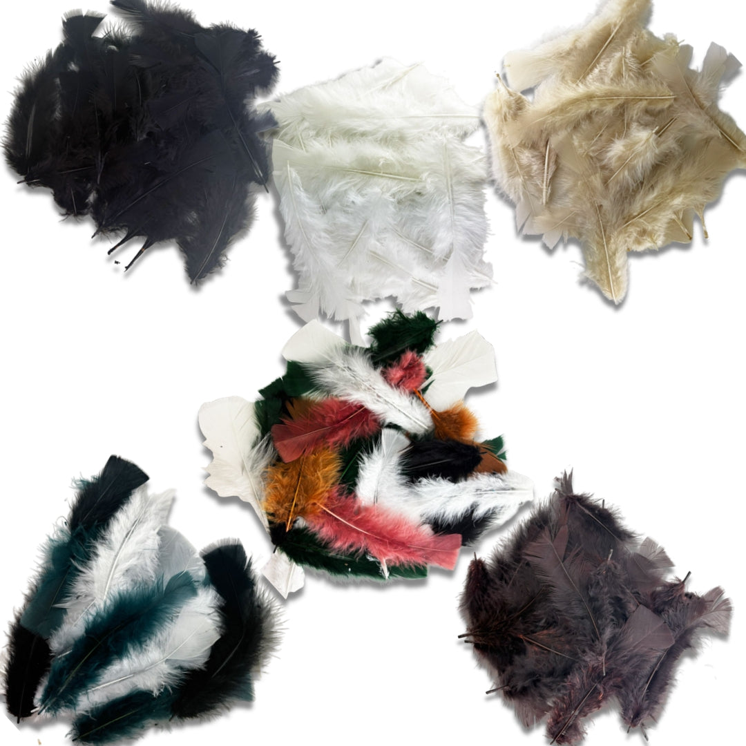 Craft Feathers 60g 6pk Bundle - Nature Mix