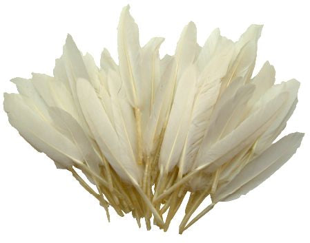 Craft Feathers 50pk - White