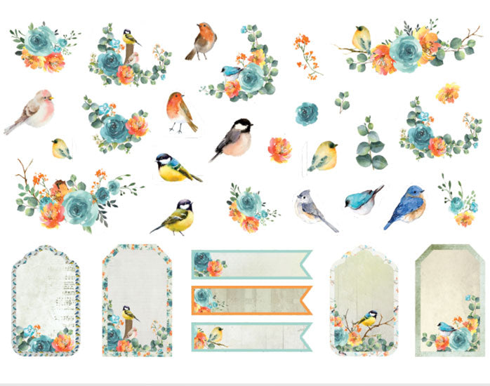 Forest and nature ephemera pack of 66 for nature journals, scrapbooking and collage