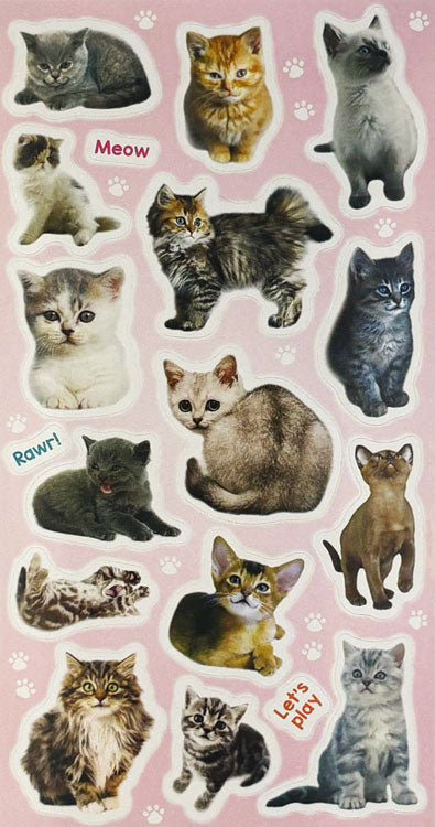 Sticker Books - Kittens 216 Stickers