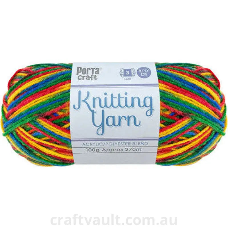 Knitting Yarn 100g 270m 8ply Multi Primary