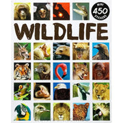 Sticker Books Wildlife 450 Stickers